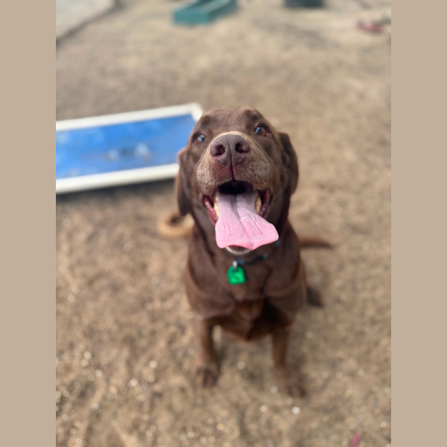 Photo of Dora