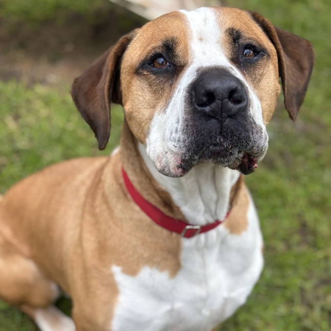 Photo of Ralph