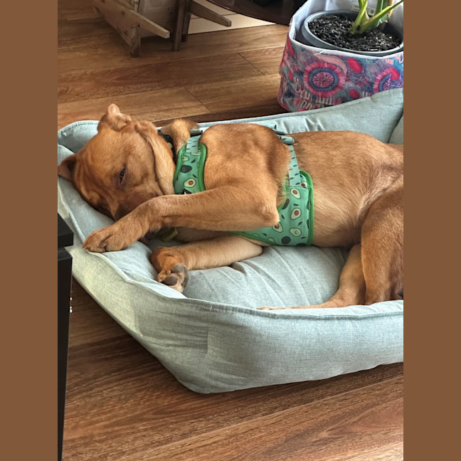 Photo of Zeus