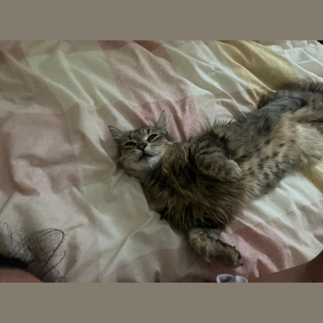 Photo of Daisy