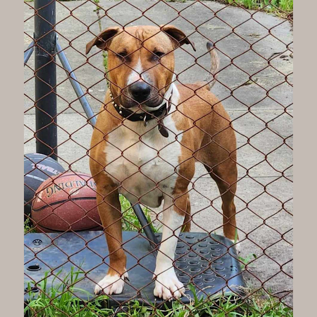 Photo of Billy