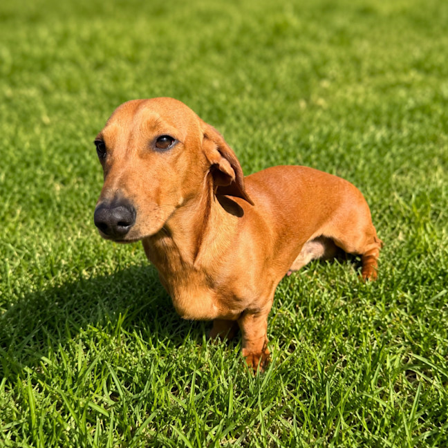 Photo of Eli