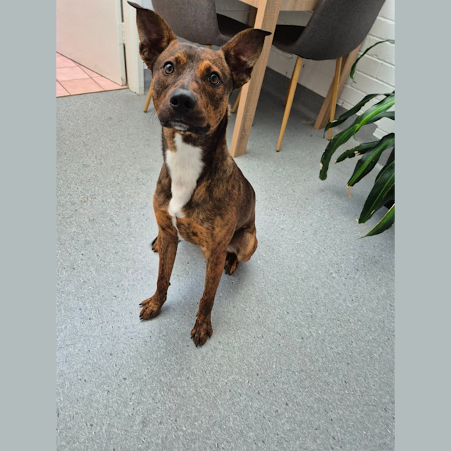 Photo of Toohey! 🍻