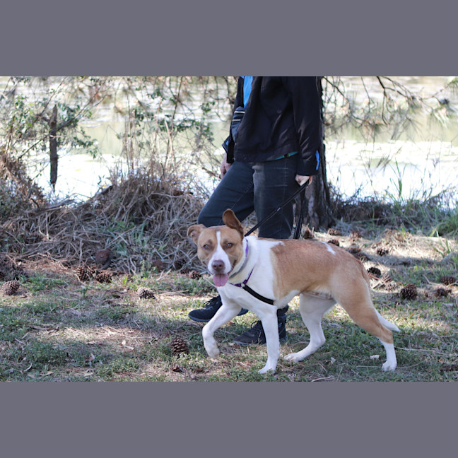 Photo of Bella