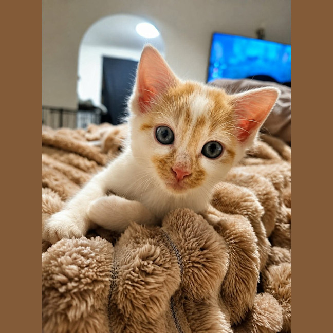 Photo of Oli