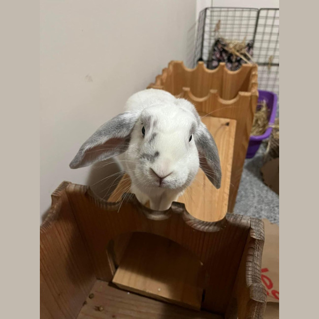 Photo of Amira And Timmy