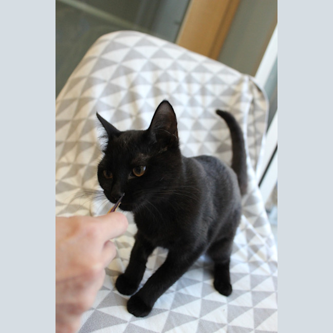 Photo of Dolce (Et Gabbana)