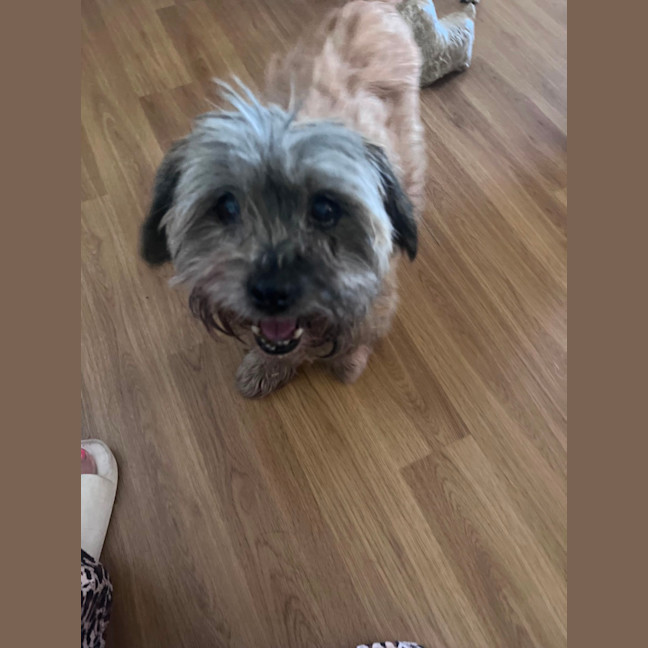 Photo of Albie