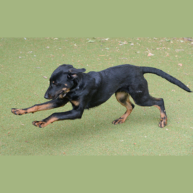 Photo of Kaiya