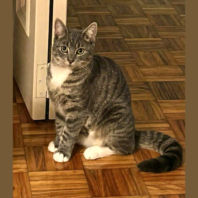 Photo of Winifred