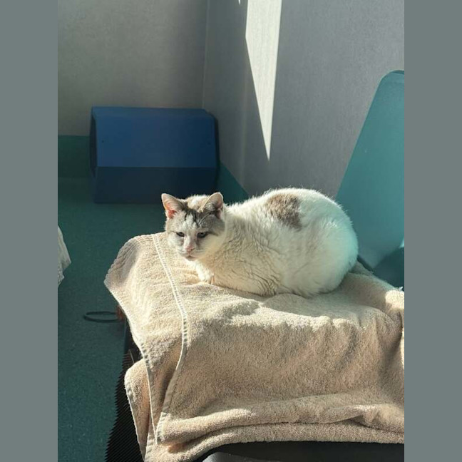 Photo of Elsa