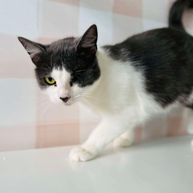 Photo of Bonnie   Located In Preston