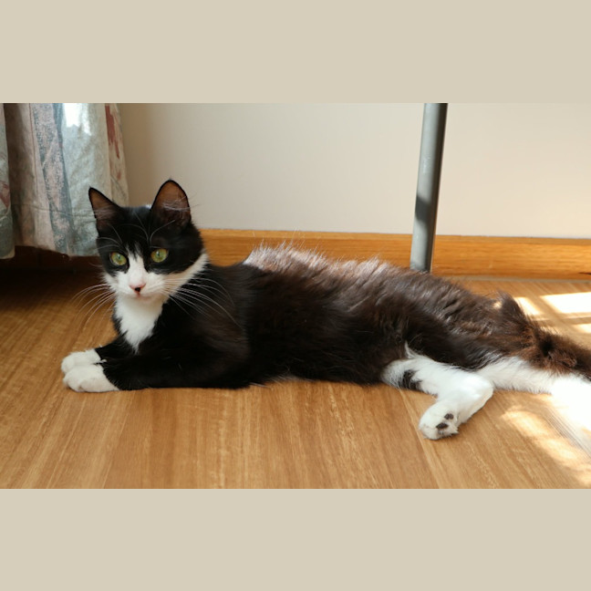 Photo of Michi