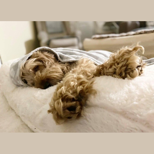 Photo of Shari Jablonski