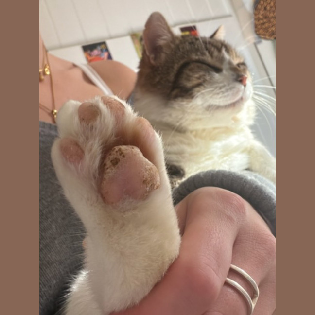 Photo of Charlie