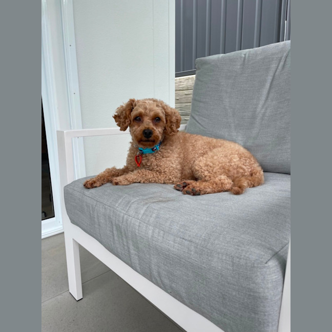 Photo of Lovely Murphy 