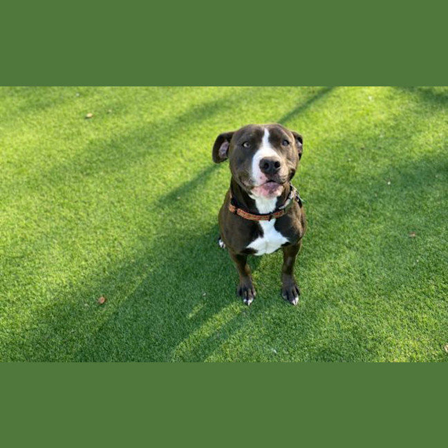 Photo of Sammy
