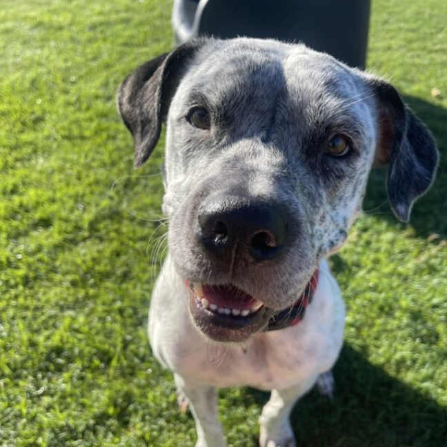 Photo of Ghost