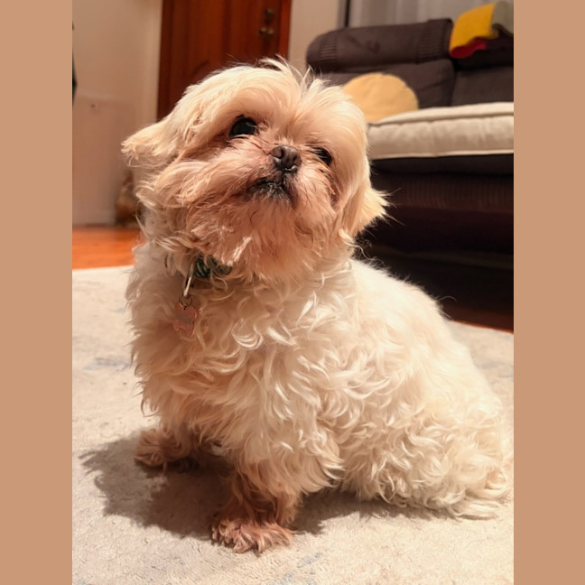 Photo of Ella