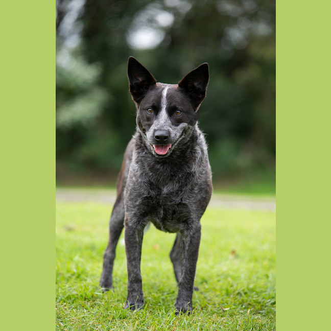 Photo of Tia