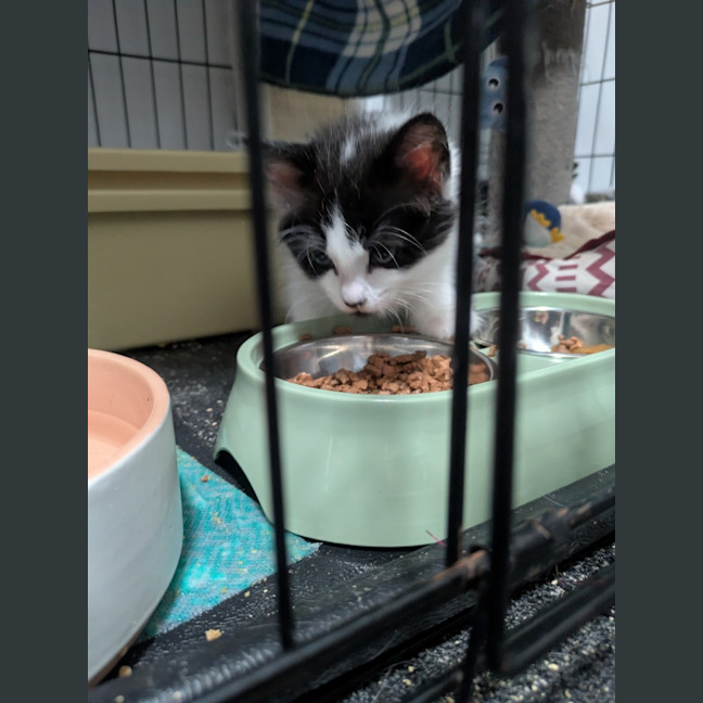 Photo of Zippy Snail