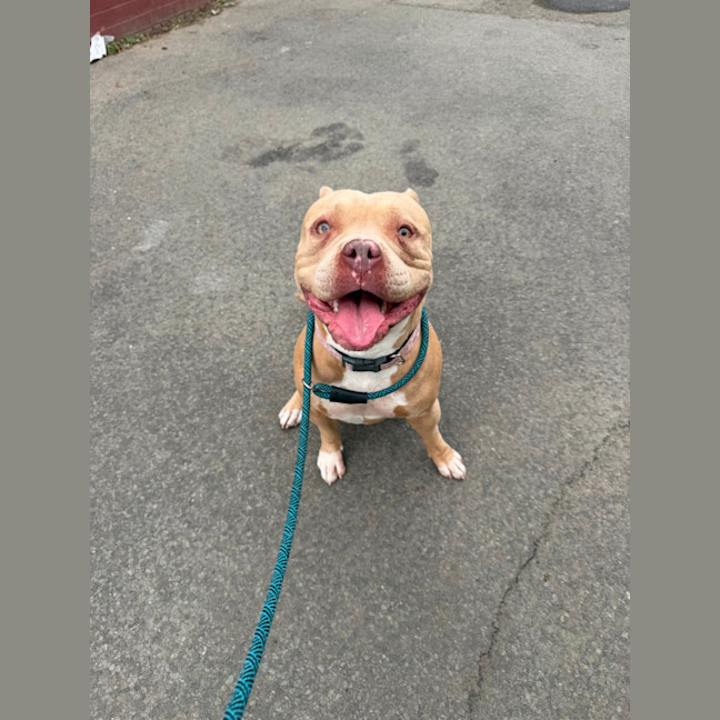 Photo of Nala