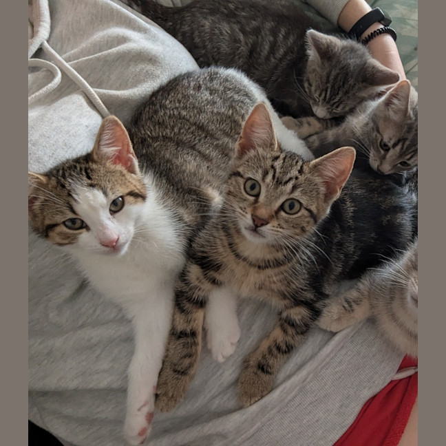 Photo of Sofia Scotty