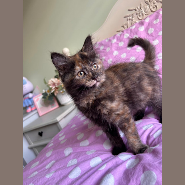 Photo of Peggy