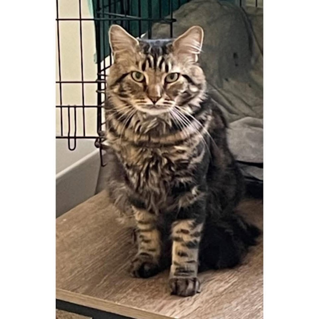 Photo of 12257   Kahlo