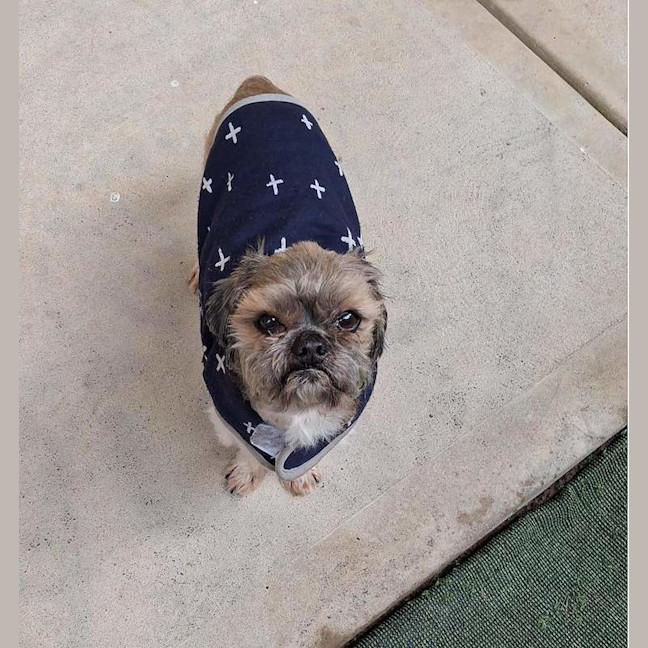Photo of Bill