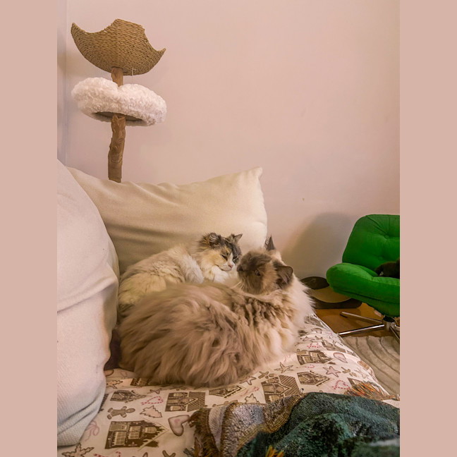 Photo of Lydia