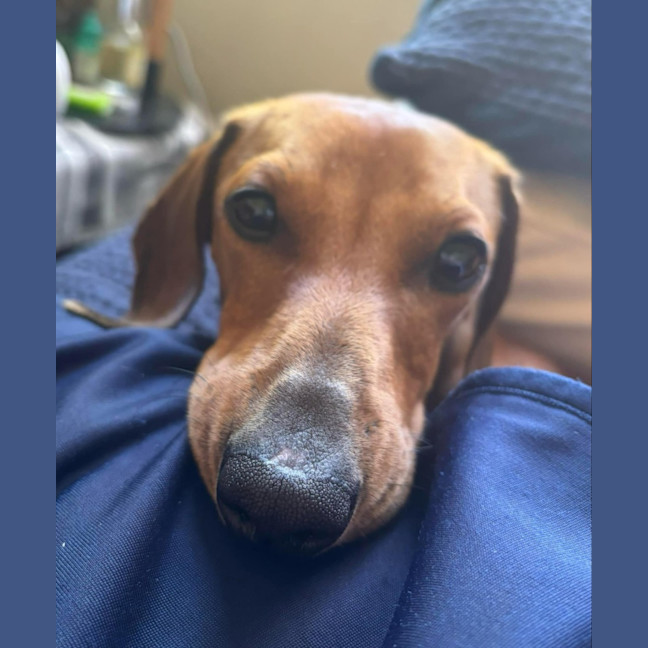 Photo of Slim