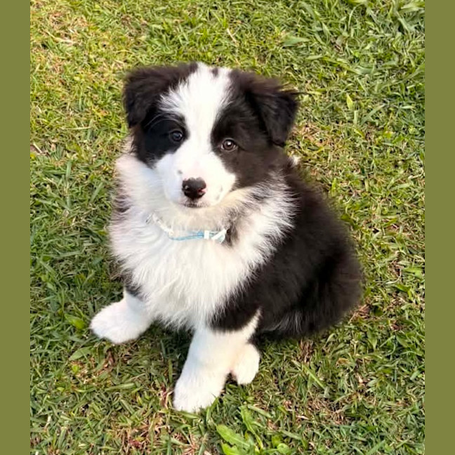 Photo of Kylo
