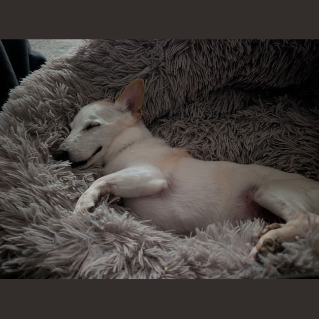 Photo of Max