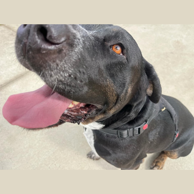 Photo of Cash