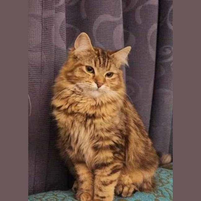 Photo of Penelope