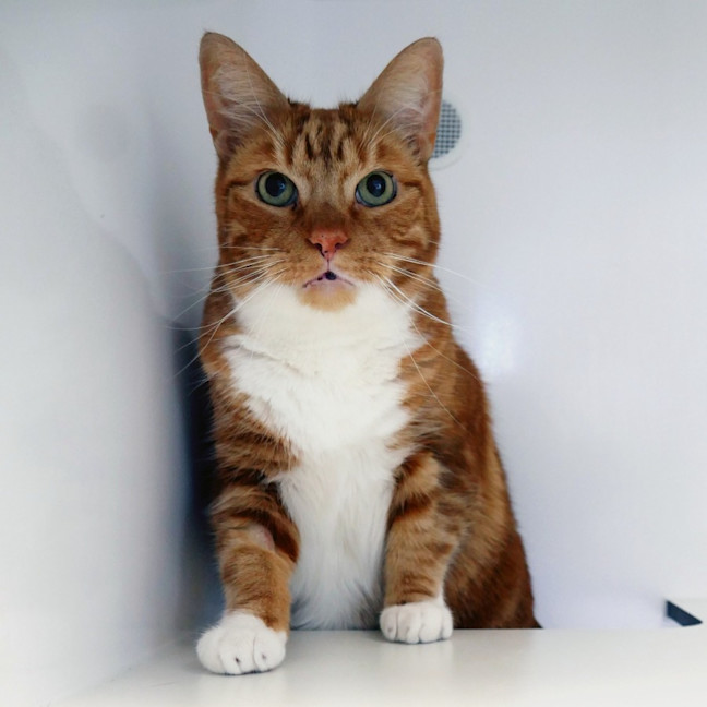 Photo of Huckleberry Rsua012814