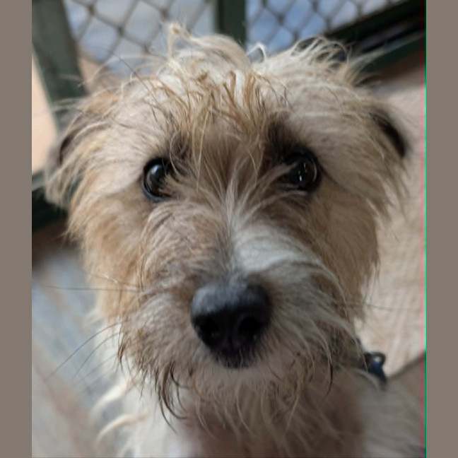 Photo of Sally