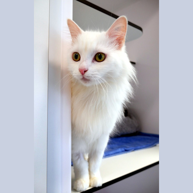 Photo of Cutie Sua014245