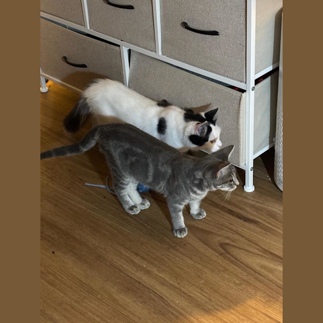 Photo of Hugh And Imogen 