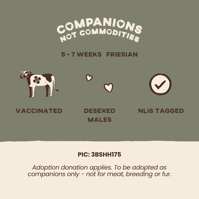 Photo of Billy & Chance