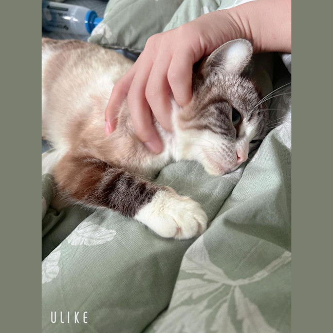 Photo of Lucy 
