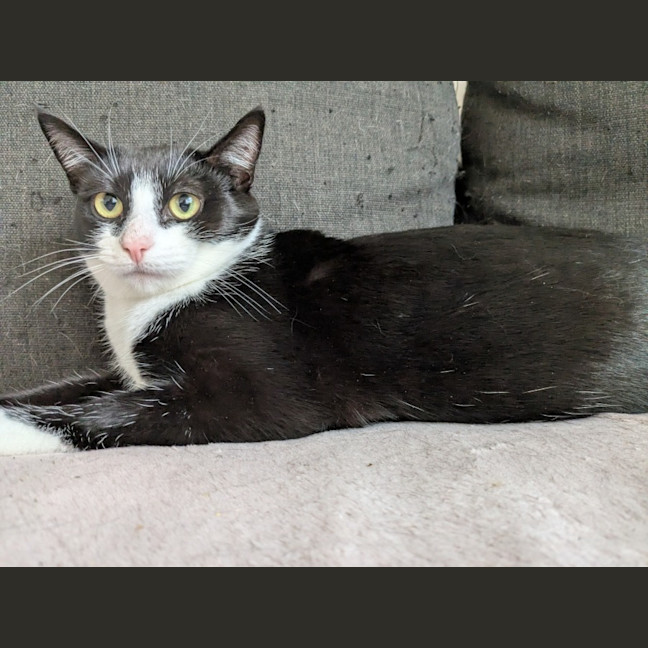 Photo of Lilo
