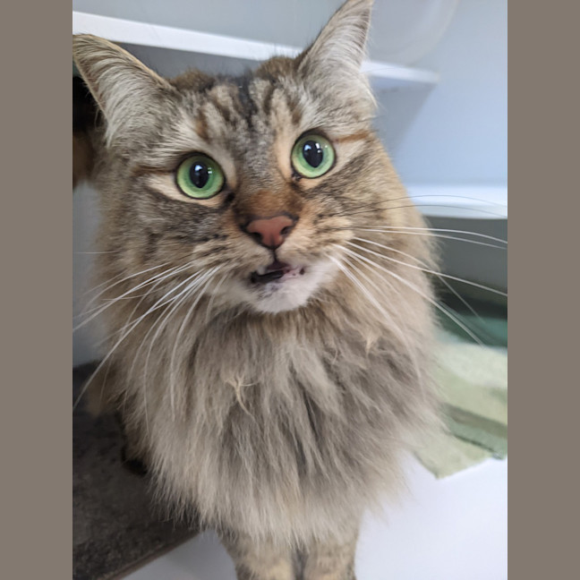 Photo of Lily