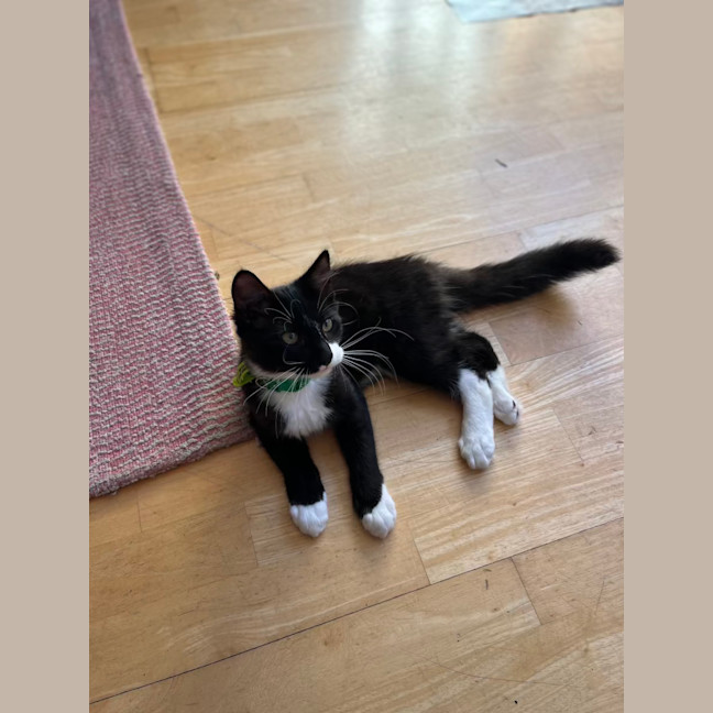 Photo of Dennis & Dot 