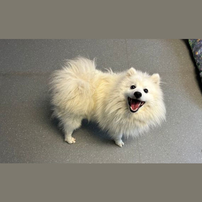Photo of Billy