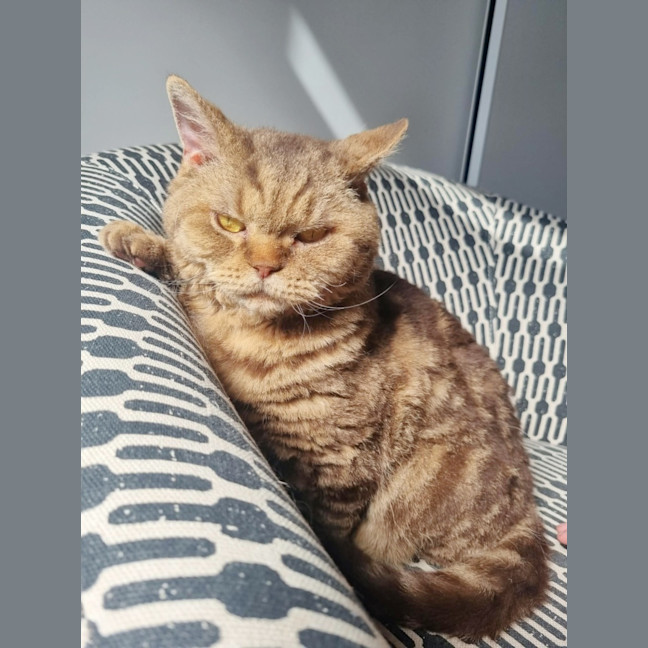 Photo of 🥜Carmen🥜