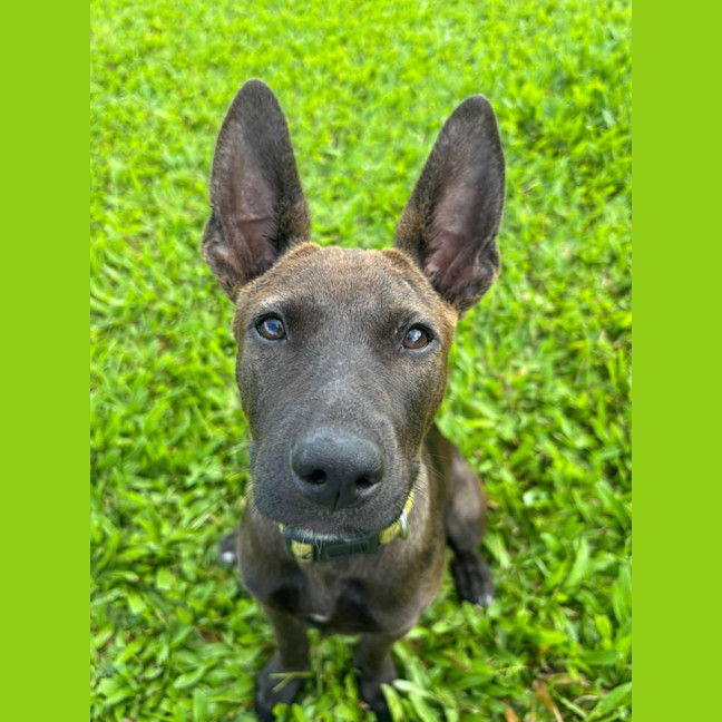 Photo of Lil Olive