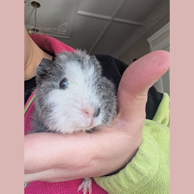 Photo of Benedict