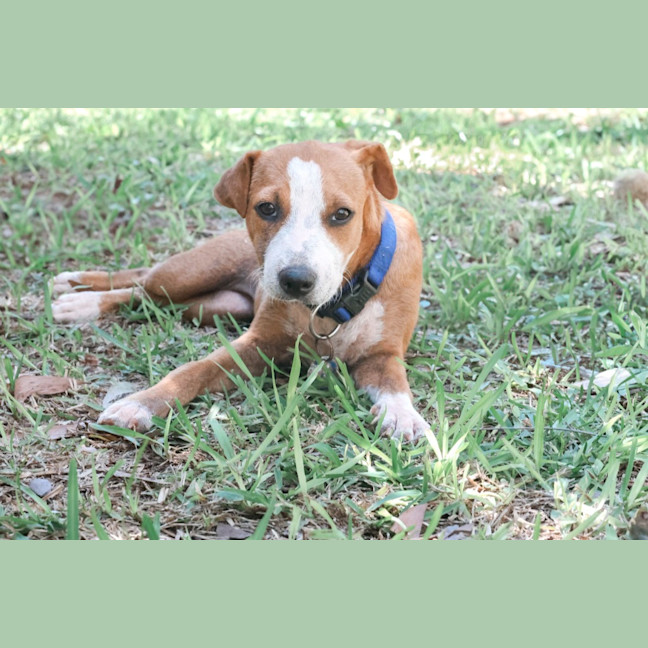 Photo of Gertie